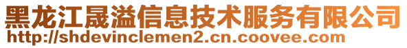 黑龍江晟溢信息技術(shù)服務有限公司