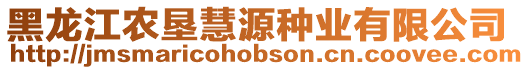 黑龍江農墾慧源種業有限公司