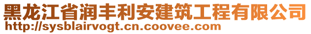 黑龍江省潤豐利安建筑工程有限公司