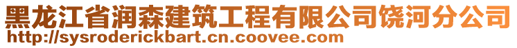 黑龍江省潤森建筑工程有限公司饒河分公司