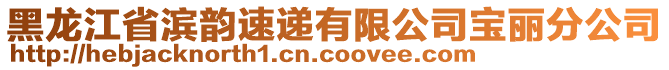 黑龍江省濱韻速遞有限公司寶麗分公司