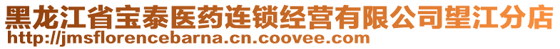 黑龍江省寶泰醫(yī)藥連鎖經(jīng)營有限公司望江分店