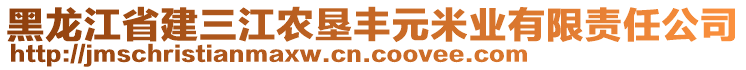 黑龍江省建三江農(nóng)墾豐元米業(yè)有限責(zé)任公司