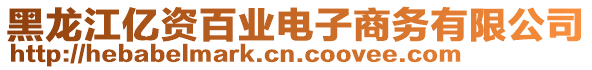 黑龍江億資百業(yè)電子商務(wù)有限公司