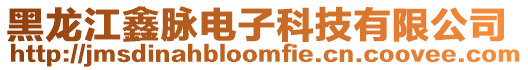 黑龍江鑫脈電子科技有限公司