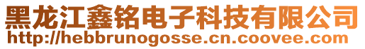 黑龍江鑫銘電子科技有限公司