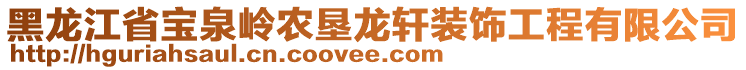 黑龙江省宝泉岭农垦龙轩装饰工程有限公司