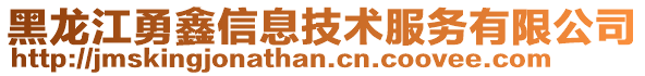 黑龍江勇鑫信息技術(shù)服務(wù)有限公司