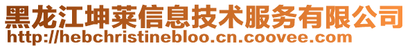 黑龙江坤莱信息技术服务有限公司