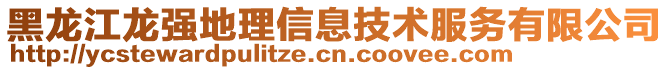 黑龍江龍強地理信息技術(shù)服務有限公司