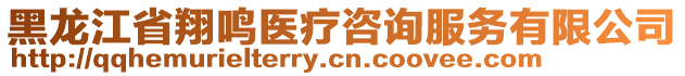 黑龍江省翔鳴醫療咨詢服務有限公司