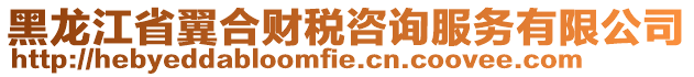 黑龍江省翼合財稅咨詢服務有限公司