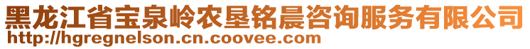 黑龍江省寶泉嶺農(nóng)墾銘晨咨詢服務(wù)有限公司