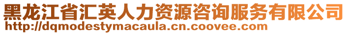 黑龍江省匯英人力資源咨詢服務(wù)有限公司