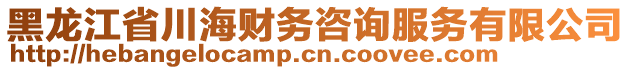 黑龍江省川海財務(wù)咨詢服務(wù)有限公司