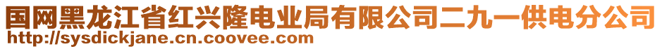 國網(wǎng)黑龍江省紅興隆電業(yè)局有限公司二九一供電分公司