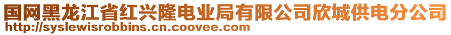 國(guó)網(wǎng)黑龍江省紅興隆電業(yè)局有限公司欣城供電分公司