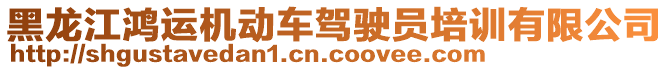 黑龍江鴻運(yùn)機(jī)動車駕駛員培訓(xùn)有限公司