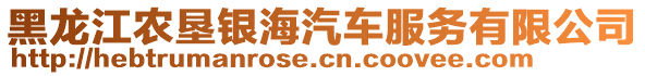 黑龍江農(nóng)墾銀海汽車服務有限公司