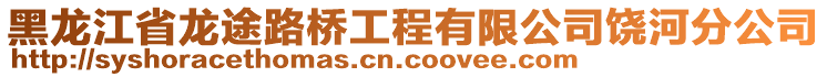 黑龙江省龙途路桥工程有限公司饶河分公司