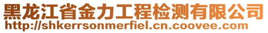 黑龍江省金力工程檢測(cè)有限公司