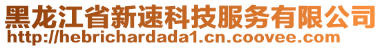 黑龍江省新速科技服務(wù)有限公司