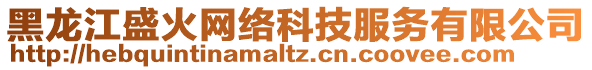 黑龙江盛火网络科技服务有限公司