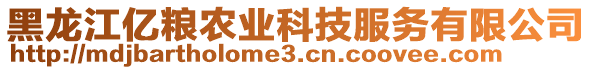 黑龍江億糧農(nóng)業(yè)科技服務(wù)有限公司