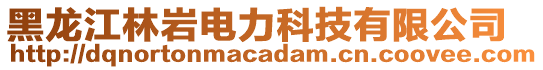 黑龙江林岩电力科技有限公司