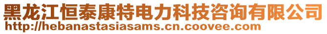 黑龍江恒泰康特電力科技咨詢有限公司