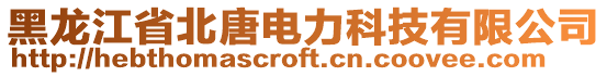 黑龍江省北唐電力科技有限公司