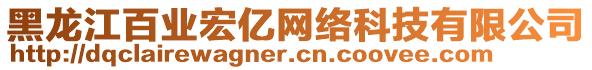 黑龍江百業(yè)宏億網(wǎng)絡(luò)科技有限公司