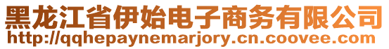 黑龍江省伊始電子商務(wù)有限公司