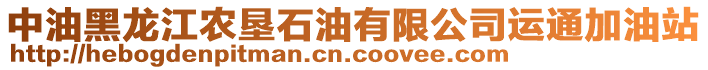 中油黑龙江农垦石油有限公司运通加油站