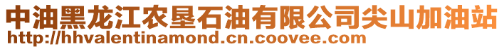 中油黑龍江農(nóng)墾石油有限公司尖山加油站