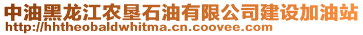 中油黑龍江農(nóng)墾石油有限公司建設(shè)加油站