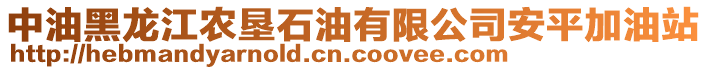 中油黑龙江农垦石油有限公司安平加油站