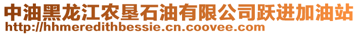 中油黑龍江農(nóng)墾石油有限公司躍進(jìn)加油站