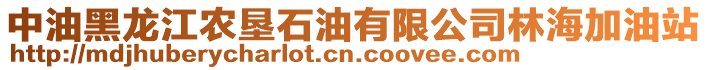 中油黑龍江農(nóng)墾石油有限公司林海加油站