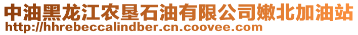 中油黑龍江農(nóng)墾石油有限公司嫩北加油站