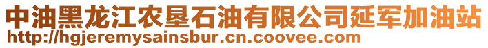 中油黑龍江農(nóng)墾石油有限公司延軍加油站