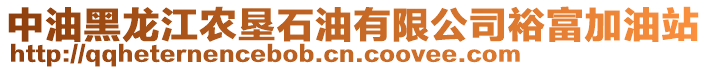 中油黑龍江農(nóng)墾石油有限公司裕富加油站