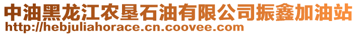 中油黑龍江農(nóng)墾石油有限公司振鑫加油站