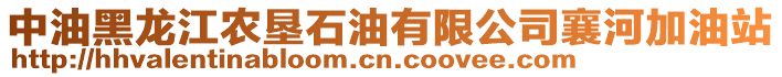 中油黑龍江農(nóng)墾石油有限公司襄河加油站