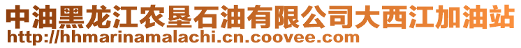 中油黑龍江農(nóng)墾石油有限公司大西江加油站