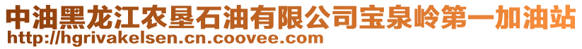 中油黑龍江農(nóng)墾石油有限公司寶泉嶺第一加油站