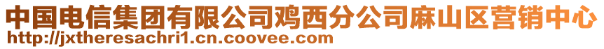 中國(guó)電信集團(tuán)有限公司雞西分公司麻山區(qū)營(yíng)銷中心