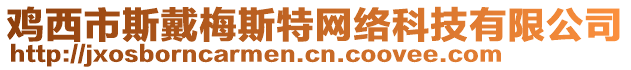 雞西市斯戴梅斯特網(wǎng)絡(luò)科技有限公司