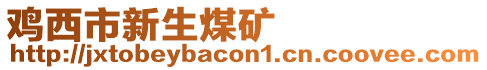 雞西市新生煤礦