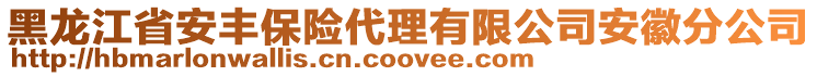 黑龍江省安豐保險代理有限公司安徽分公司